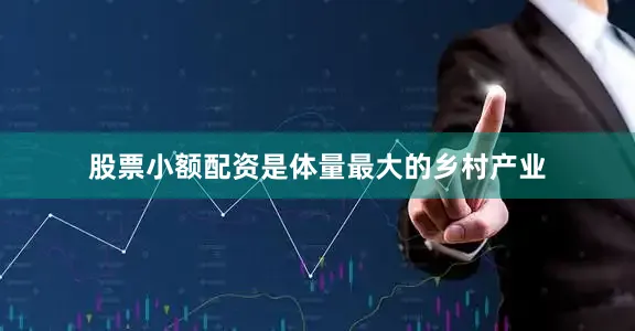 股票小额配资是体量最大的乡村产业