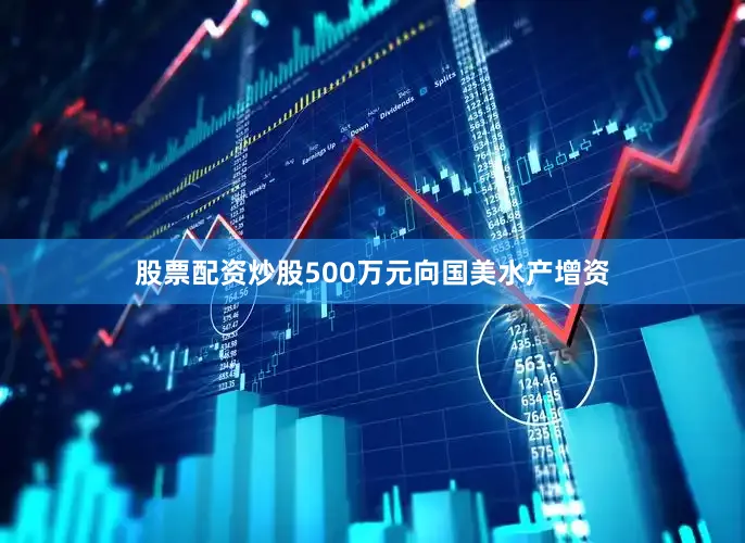 股票配资炒股500万元向国美水产增资