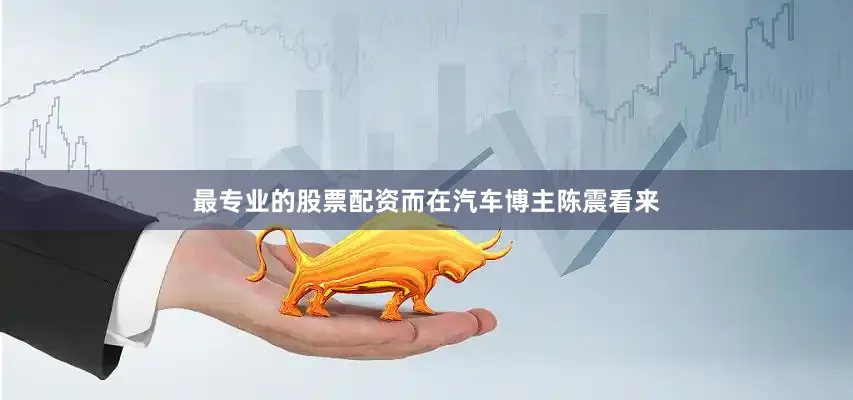 最专业的股票配资而在汽车博主陈震看来