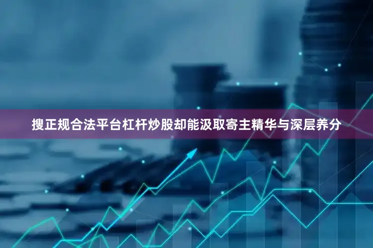 搜正规合法平台杠杆炒股却能汲取寄主精华与深层养分